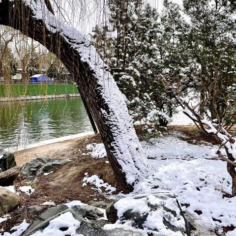 2022-3-18北京下了一场春雪，还挺大。这是颐和园3月19日雪景。