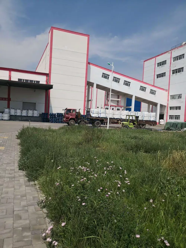 内蒙,额吉淖尔盐场