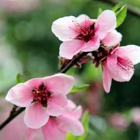 沾化区富源中心学校举行疫情防控模拟开学演练