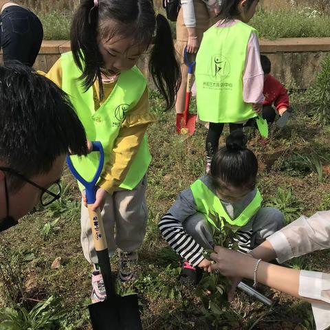 我与小树共成长——市实验学校一（11）班 饶心怡