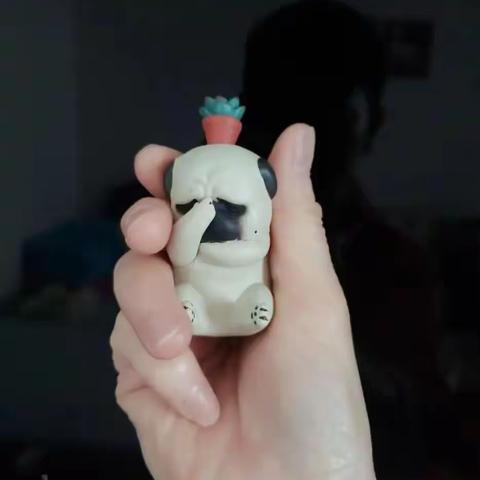 时光剪影~疫情过后，初夏如期而归！