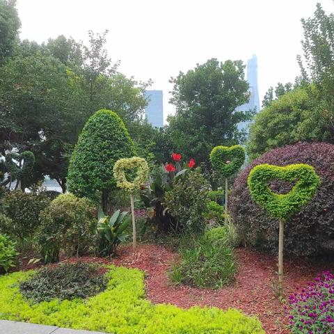 悠闲自得好心情*^O^*记📝2022/10/16日