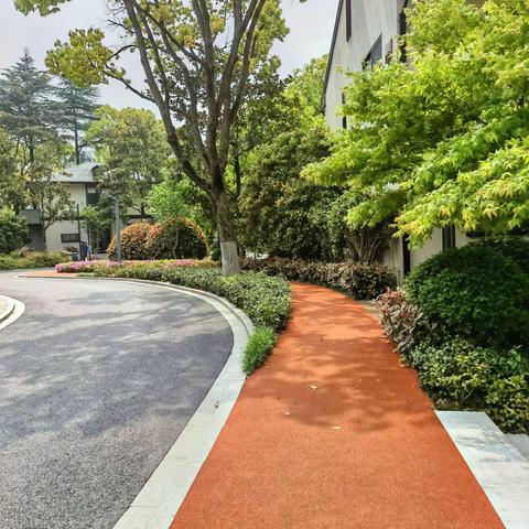 😊🌸🌻🌲春天的脚步🚶‍♀️🚶‍♀️