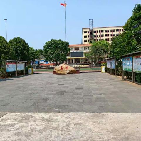 追求卓越，砥砺前行——记2019年春季上海创高教育专家数学科教学入校指导（石山中心小学）