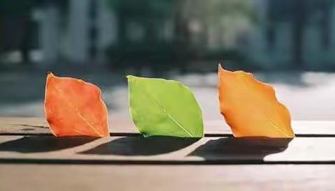 教学反思写什么？--高二年级9月常规检查通报