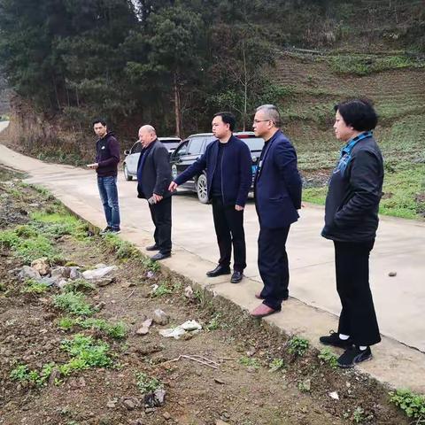 县政协副主席葛凤霞、谢志禄调研龙泉镇蚕桑产业发展