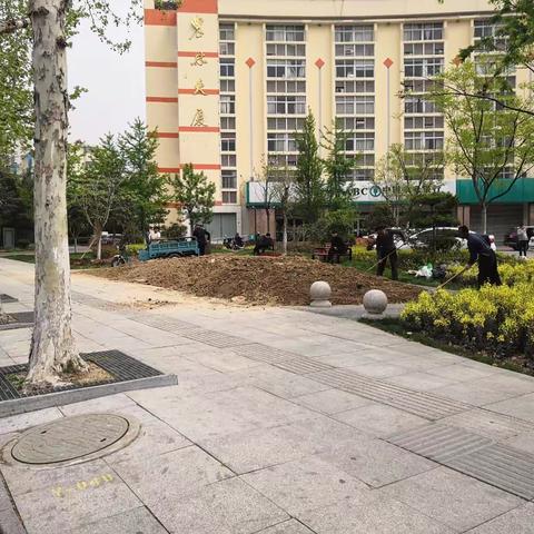 4月14日住建局园林处——找短板，补短板