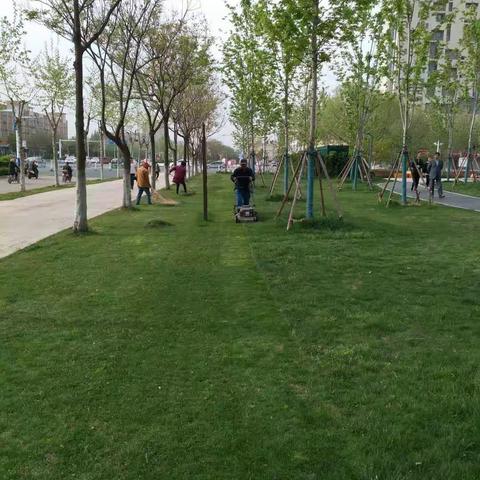 4月16日住建局园林处——找短板，补短板