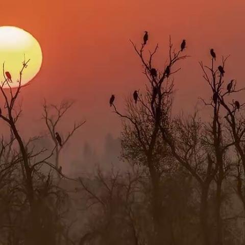 耀邦红军小学一年级学生研学纪实