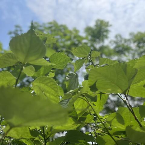 心守一抹暖阳，因为恰好遇见你———我的轮岗之旅