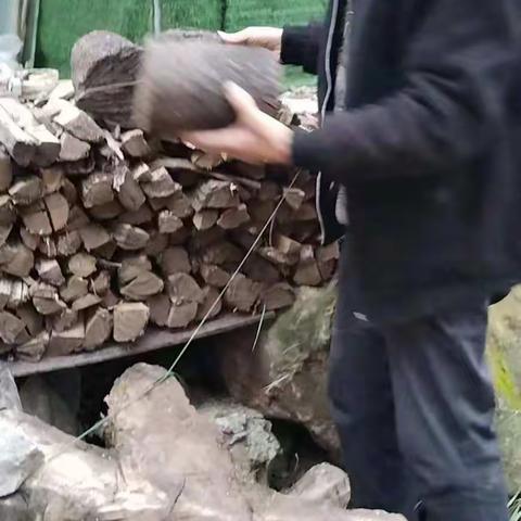 治理“六乱”开展“六清”工作日动态11.10