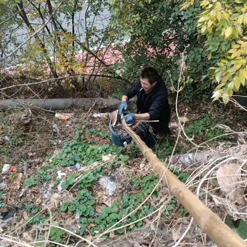 治理“六乱”开展“六清”工作日动态11.11