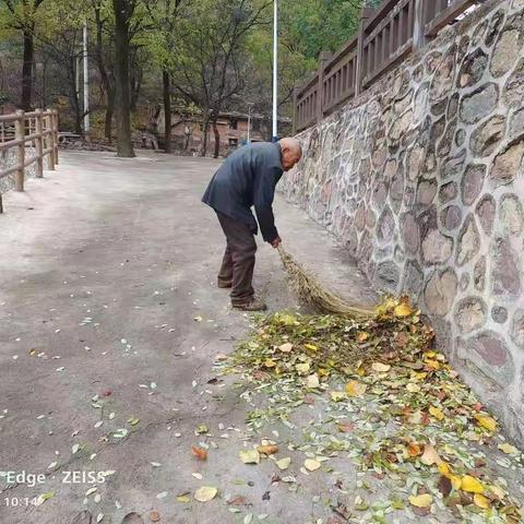 治理“六乱”开展“六清”工作日动态11.14