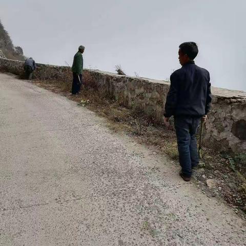 治理“六乱”开展“六清”工作日动态11.13