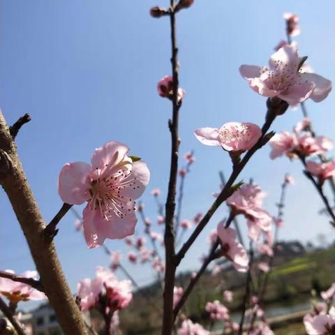 【海豚班】一周花絮