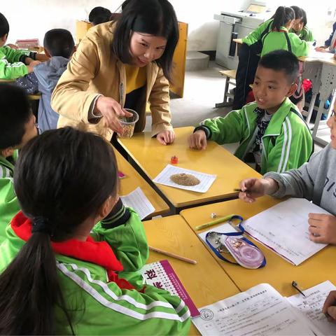 “亮风采促成长”——记五府山小学科学优质课评比展示活动报道