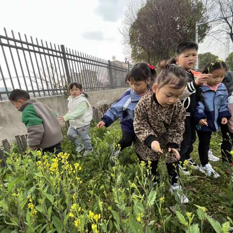 花草拓印