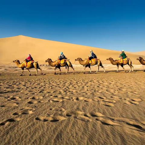 鸣沙山驼队：清晨进入鸣沙山，最先让我震撼的就是那长长的驼队，然后才是那山、那水和那太阳。