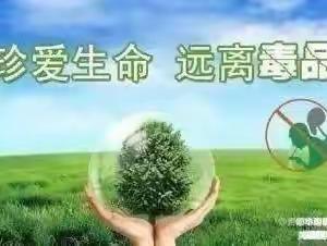 珍爱生命——远离毒品馨梦圆幼儿园禁毒美篇宣传