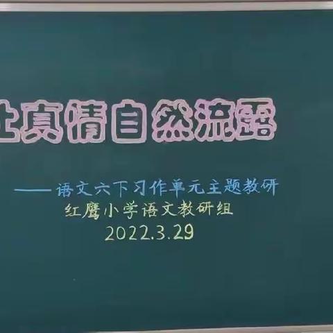 让真情自然流露——记红鹰小学“一课两上三研”语文组教研活动﻿