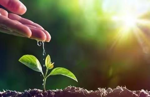 用心耕耘   静伴花开—七年级家长开放日（2010朝阳班）