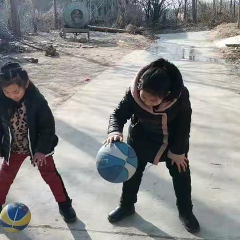 函谷关镇孟村小学寒假实践作业锦集