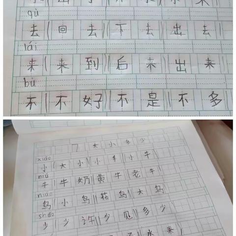 王梓诚居家的一天