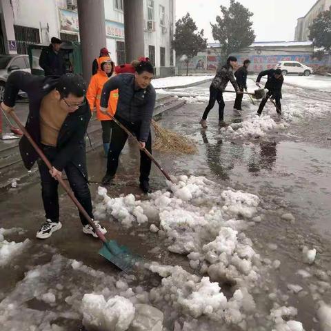雪花纷飞展风采  义务扫雪暖人心