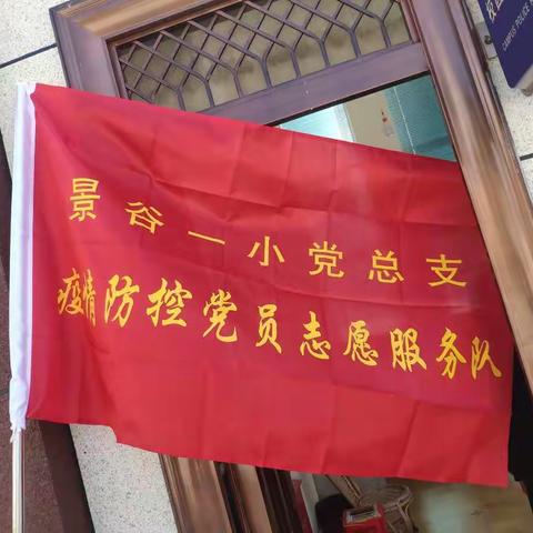 逆流而上，共克时艰__记景谷一小党员志愿服务队