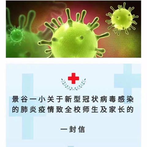 众志成城 共抗疫情__景谷一小党总支在行动