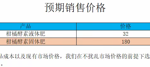 预期销售价格及利润表