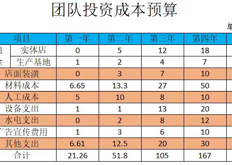 团队投资成本预算