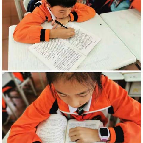 读书不觉已春深，一寸光阴一寸金——金秀瑶族自治县民族小学五月读书活动小结