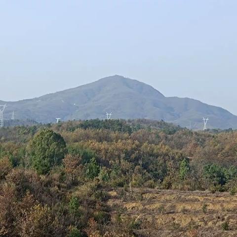 真心朋友 风雨同舟