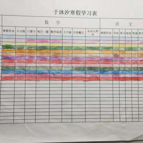 缤纷寒假，我行我秀——濮阳市实验小学一（6）班于沐汐的快乐寒假