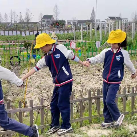 赴一场农庄之约-南官小学小水滴农庄