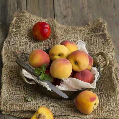 成都私家侦探公司……给当事人的建议！