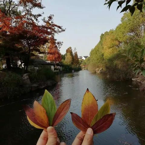 传南通教学理念，让核心素养落地生根——山西省侯马市初中课堂教学改革英语研讨会（初中英语南通学习二次培训）