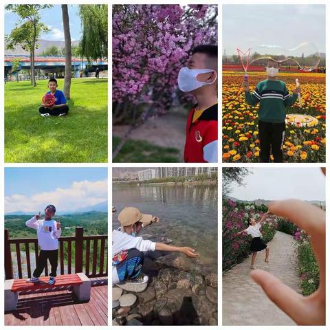 落叶一知秋六年级七班周末实践活动