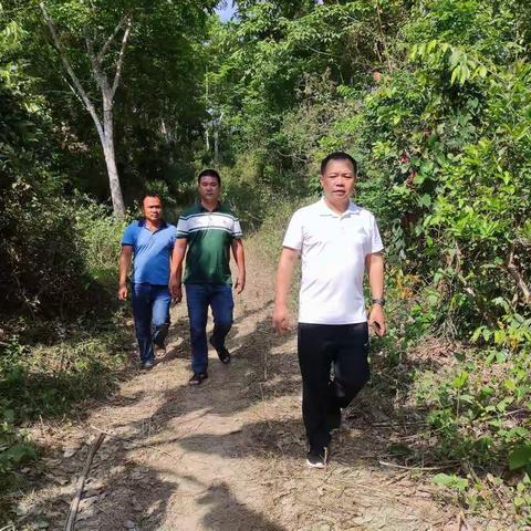 区工委委员、管委会副主任汪文祥同志到卡巴墓地检查防火安全工作