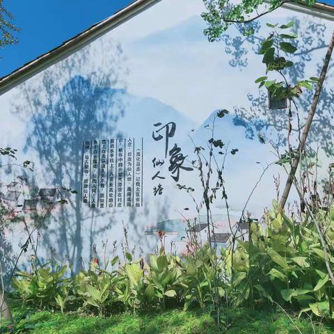 行走在家乡的小路上——龙岗镇中心幼儿园大峡谷园区秋游记