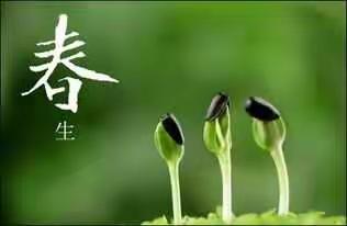 朝花幼儿园朝阳新城园｜我是家务小能手——“我的小手真能干”活动纪实