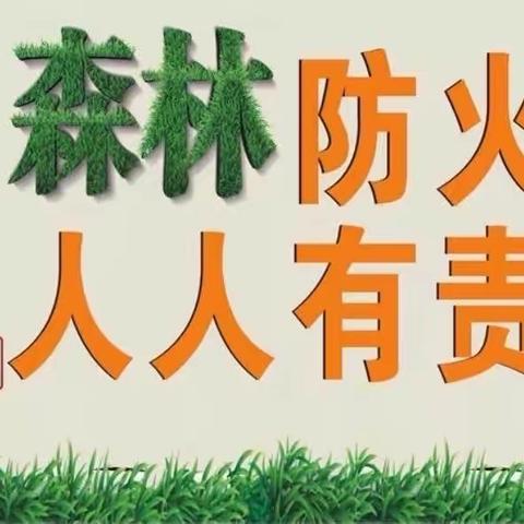 森林防火 防患未“燃”——青兰中心校123班森林防火主题活动