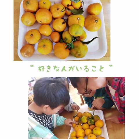 班本课程——大吉大利，玩转秋橘