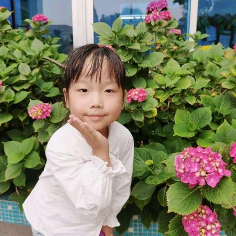 居家抗疫，成长在线——我的宅家日记