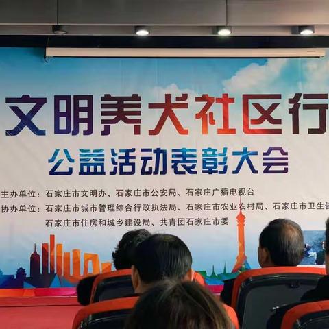 振头街道参加2019“文明养犬社区行”公益活动表彰大会