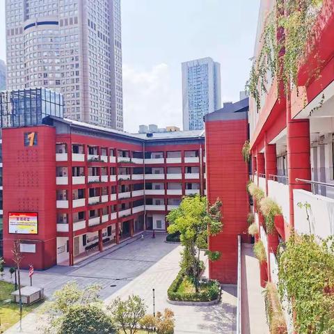 名师引领    知法明理