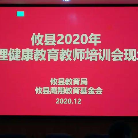 【第八组】冬日大讲堂，健康齐护航一一攸县2020年中小学心理健康教育教师培训（第3天）