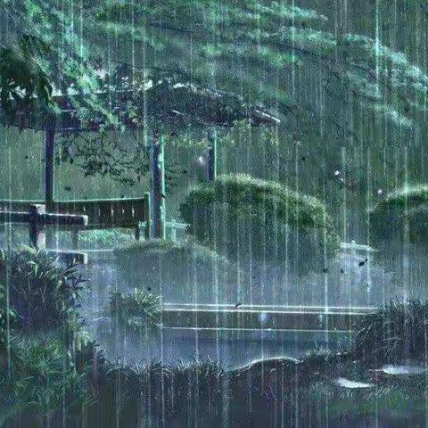 听雨