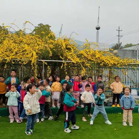 第五周周总结春风一吹🍃，春暖花开🌸，一周的美好而快乐的时光结束啦！欢迎收看中一班的精彩瞬间🎬